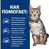 Влажный корм для кошек Hill's Prescription Diet c/d Multicare Stress Metabolic / 605619 85, г