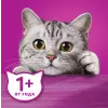 Влажный корм для кошек Whiskas Желе с говядиной и кроликом 75, г